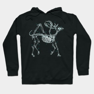 xray of griffin Hoodie